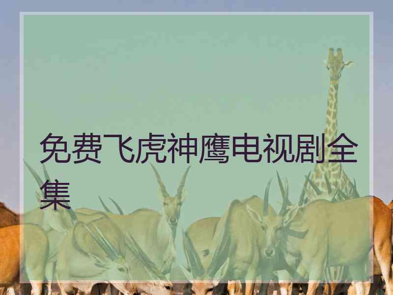 免费飞虎神鹰电视剧全集