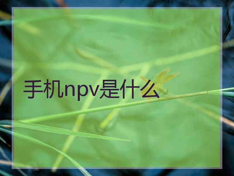 手机npv是什么