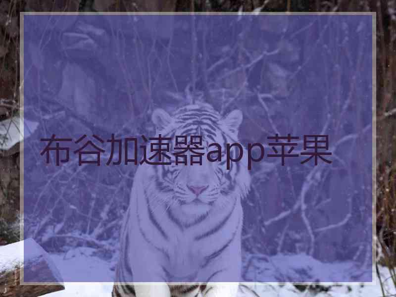布谷加速器app苹果