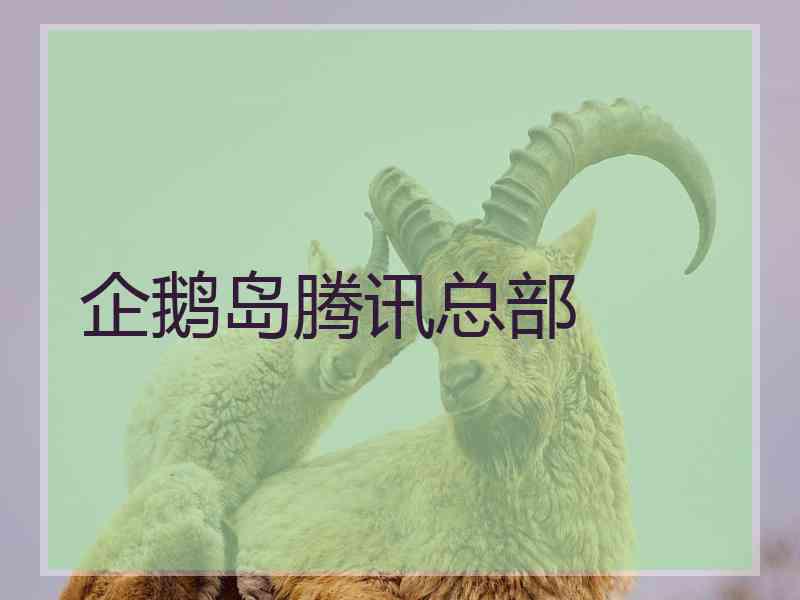 企鹅岛腾讯总部