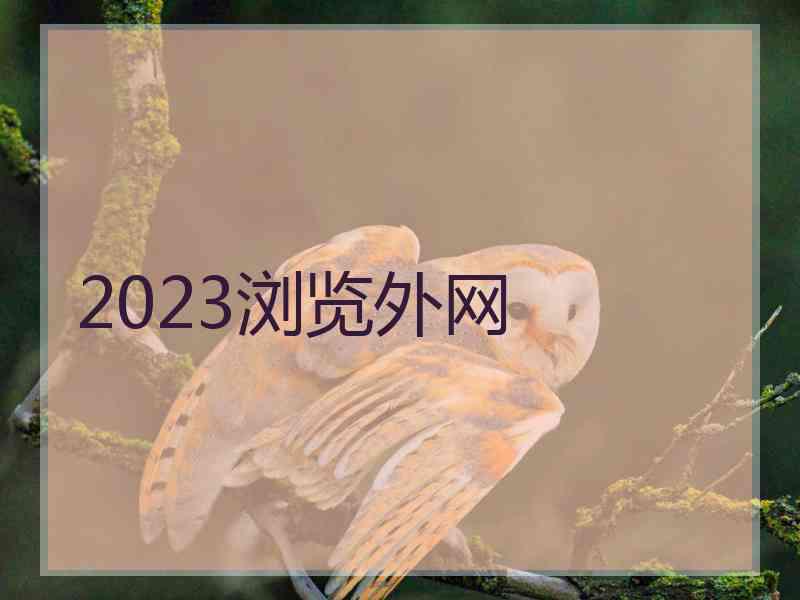 2023浏览外网