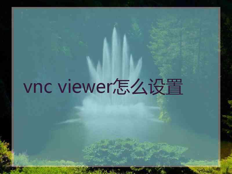 vnc viewer怎么设置