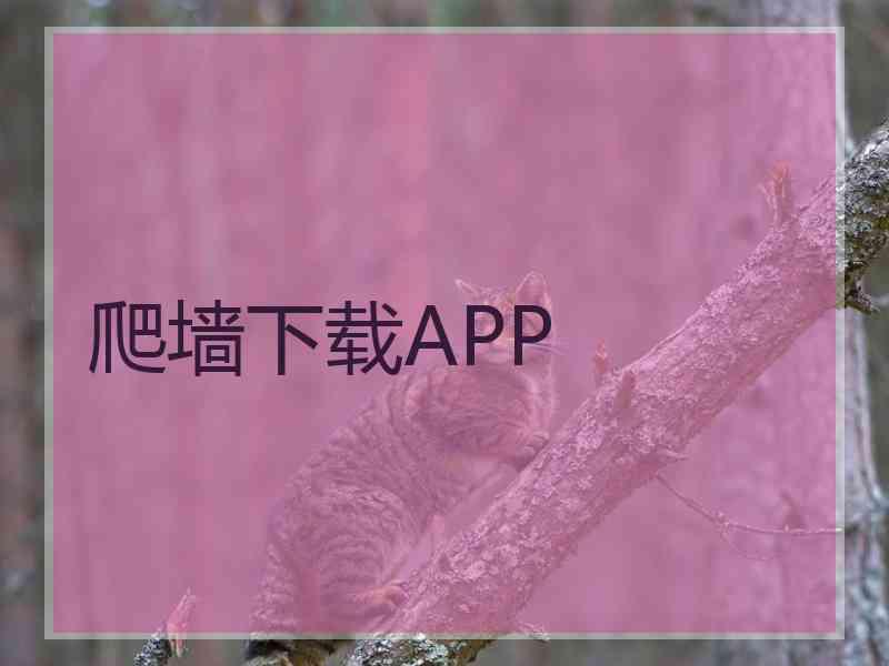 爬墙下载APP