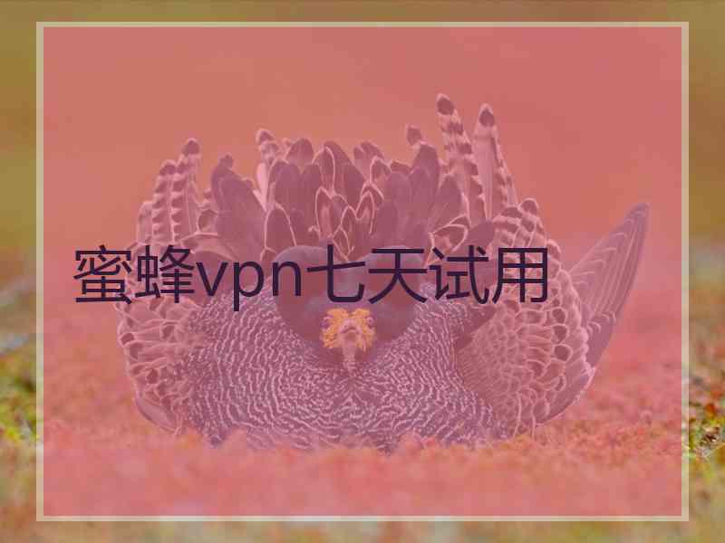 蜜蜂vpn七天试用