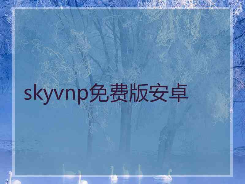 skyvnp免费版安卓