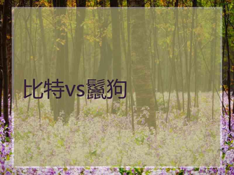 比特vs鬣狗
