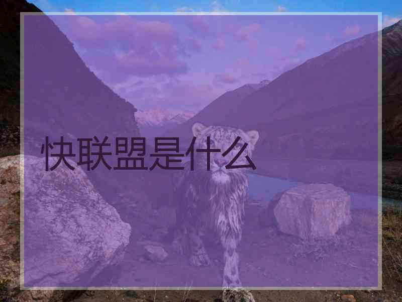 快联盟是什么