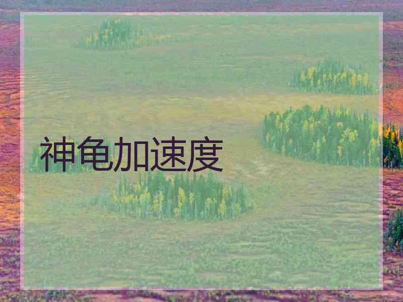 神龟加速度