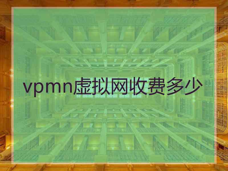 vpmn虚拟网收费多少