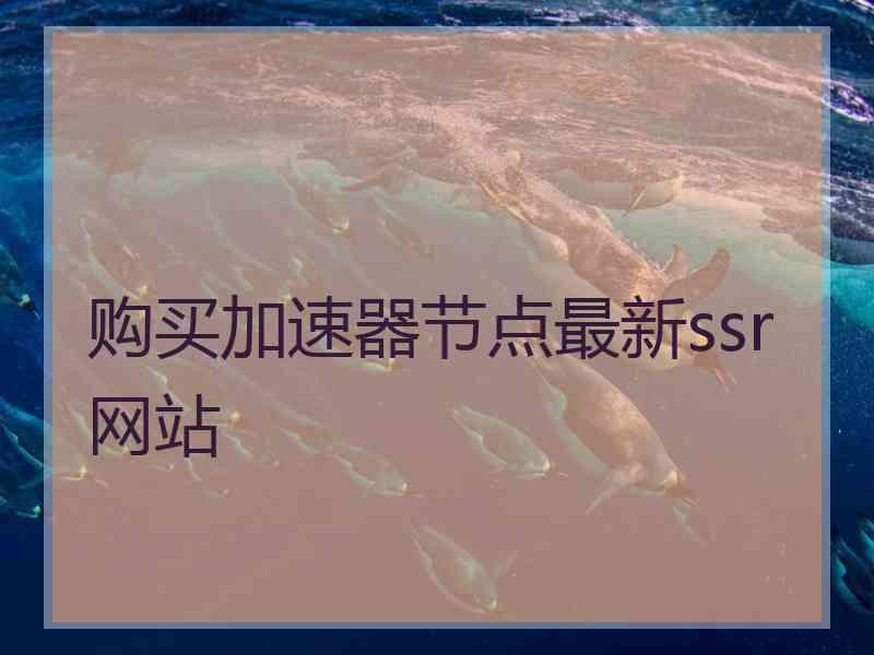 购买加速器节点最新ssr网站
