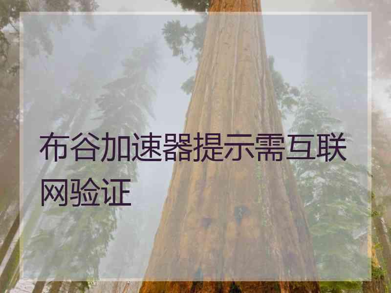 布谷加速器提示需互联网验证