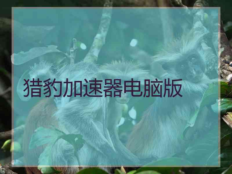 猎豹加速器电脑版
