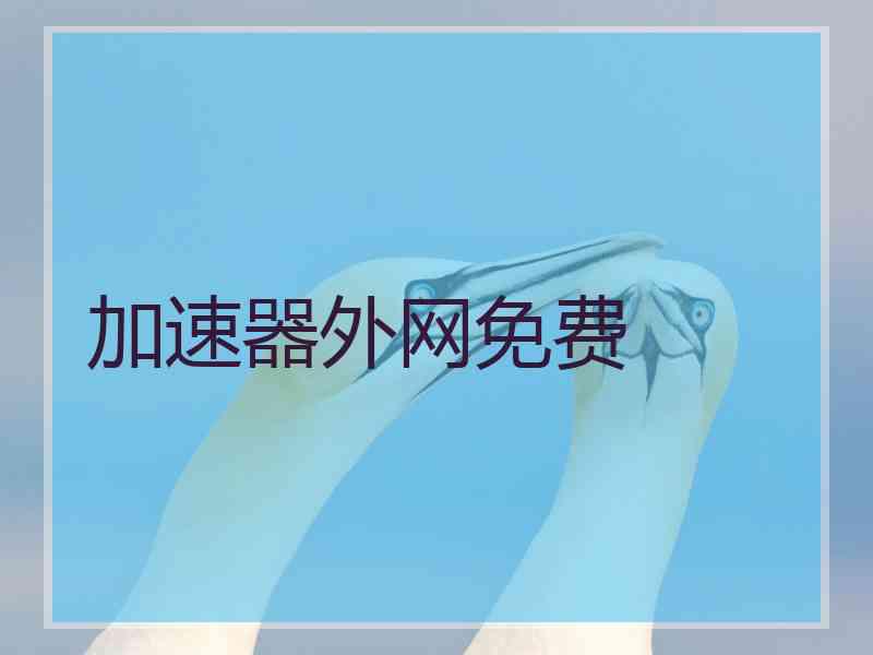 加速器外网免费