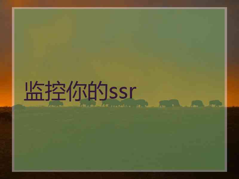 监控你的ssr