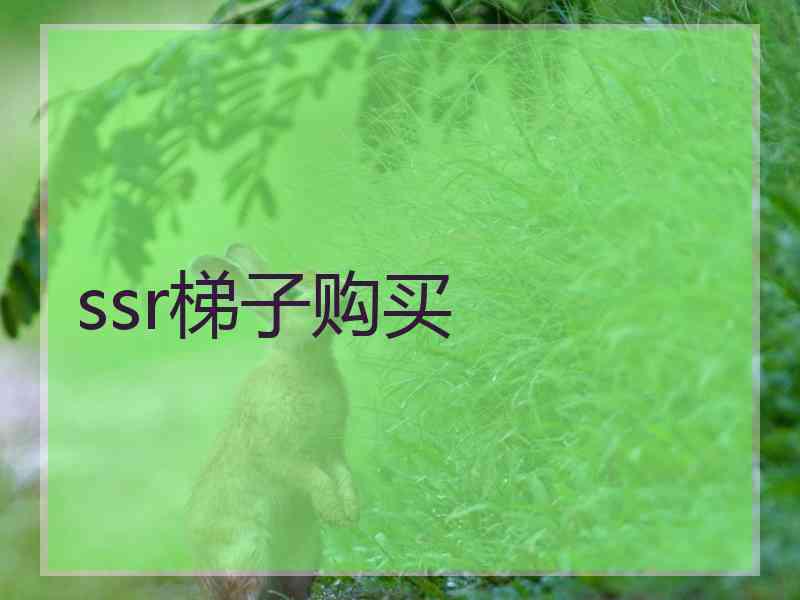 ssr梯子购买