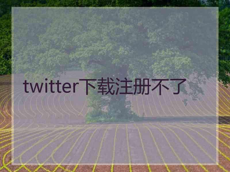 twitter下载注册不了