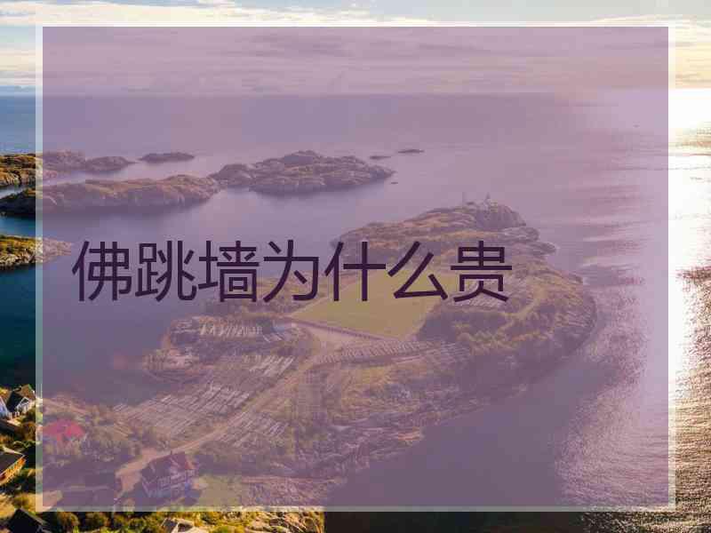佛跳墙为什么贵