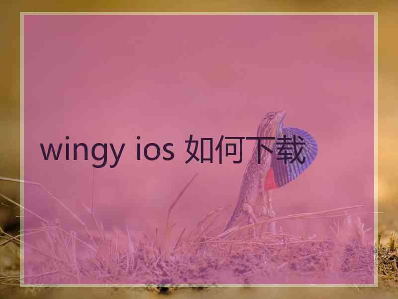 wingy ios 如何下载