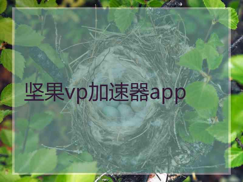 坚果vp加速器app