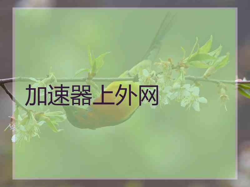 加速器上外网