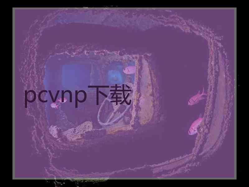 pcvnp下载