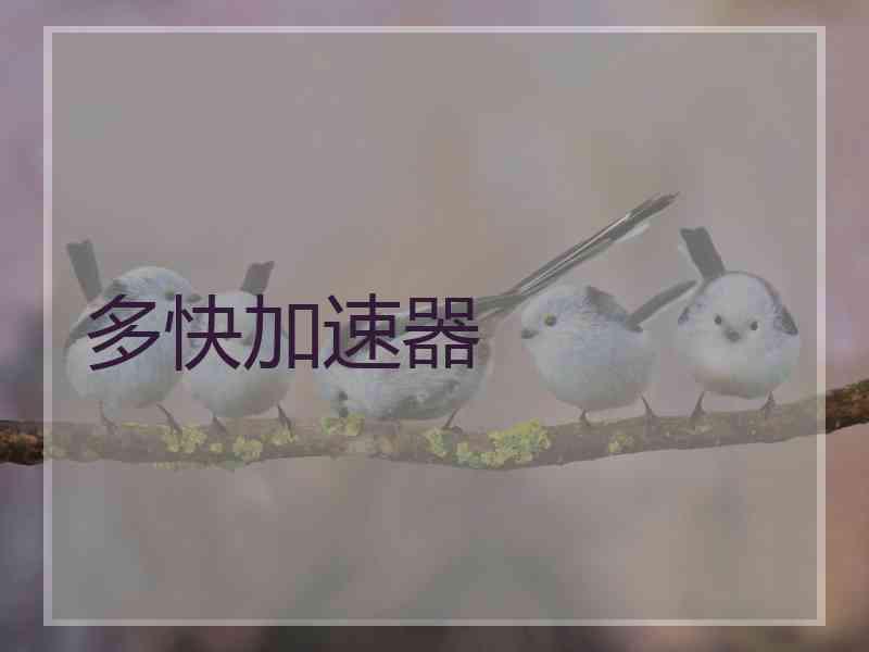 多快加速器