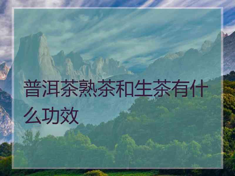 普洱茶熟茶和生茶有什么功效