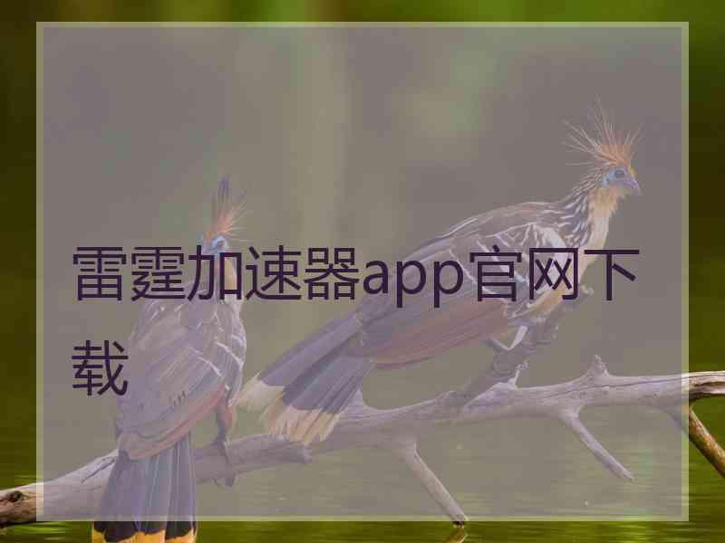 雷霆加速器app官网下载