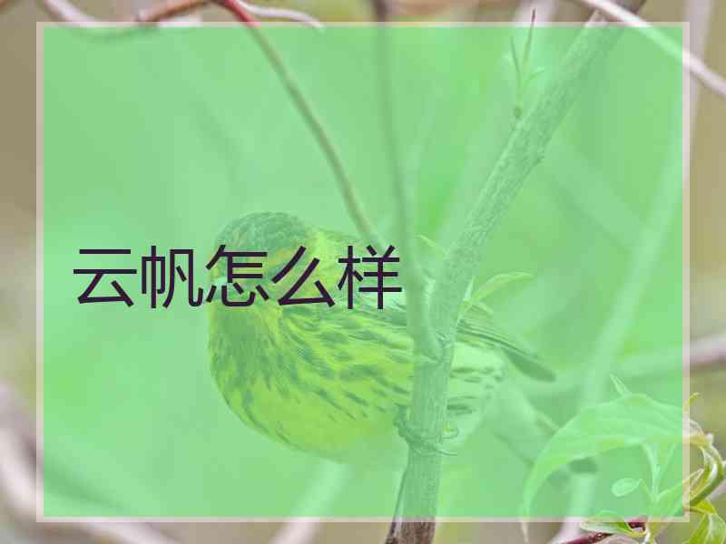 云帆怎么样