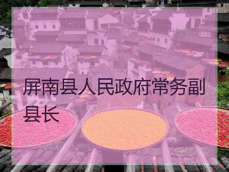屏南县人民政府常务副县长