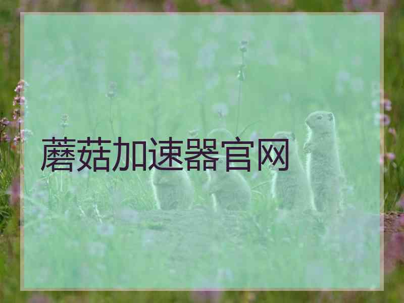 蘑菇加速器官网