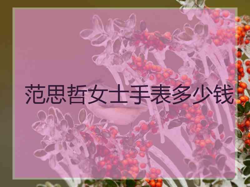 范思哲女士手表多少钱