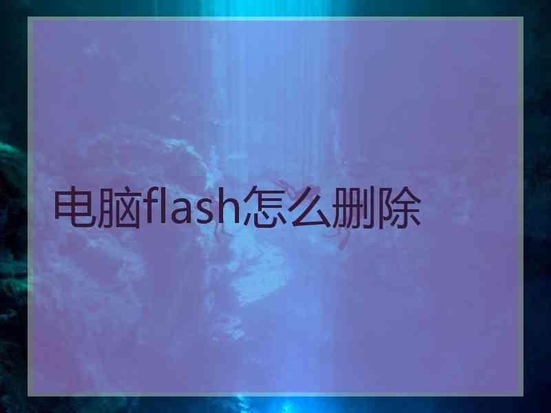 电脑flash怎么删除
