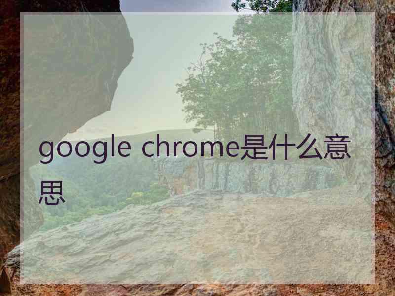 google chrome是什么意思