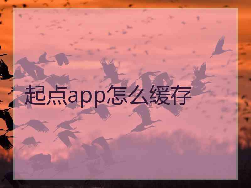 起点app怎么缓存