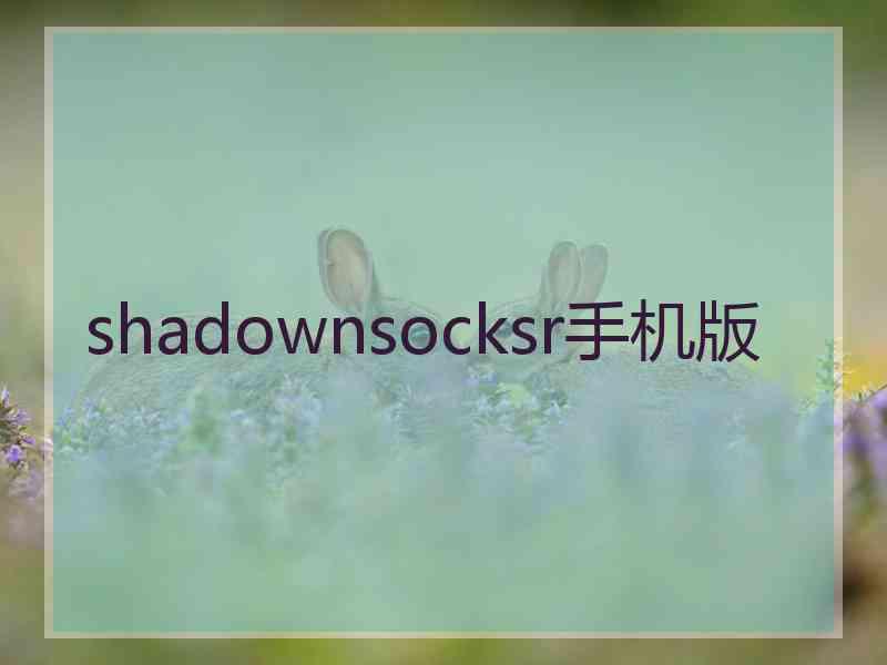 shadownsocksr手机版