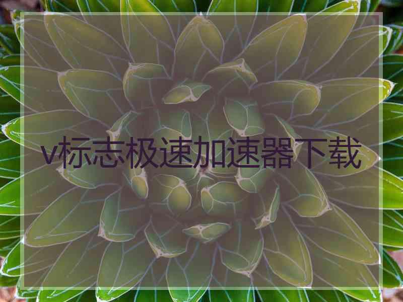 v标志极速加速器下载