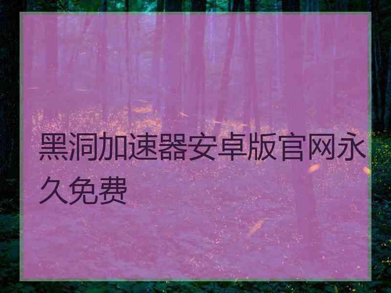 黑洞加速器安卓版官网永久免费