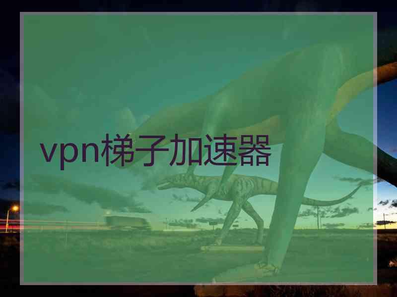 vpn梯子加速器