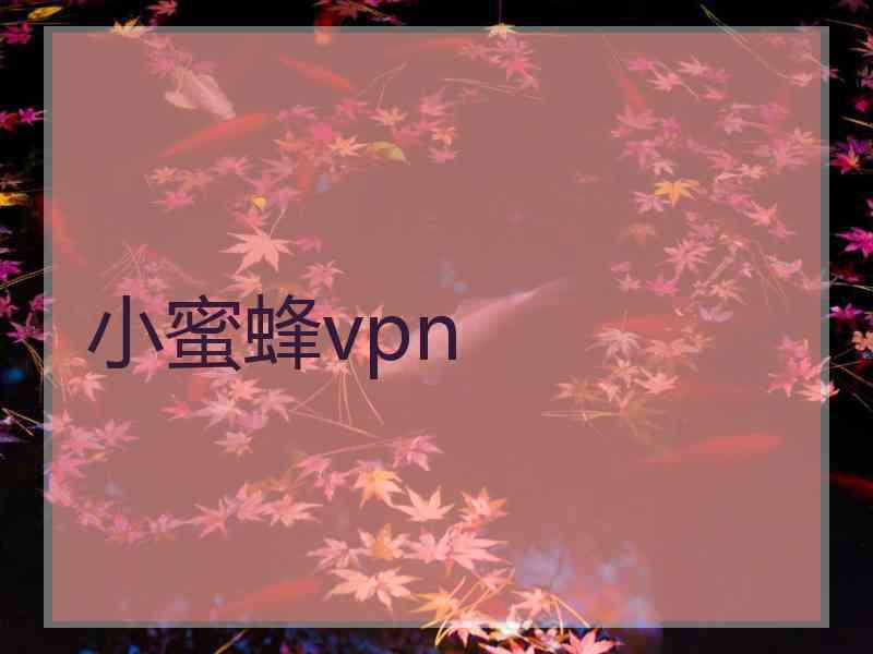小蜜蜂vpn