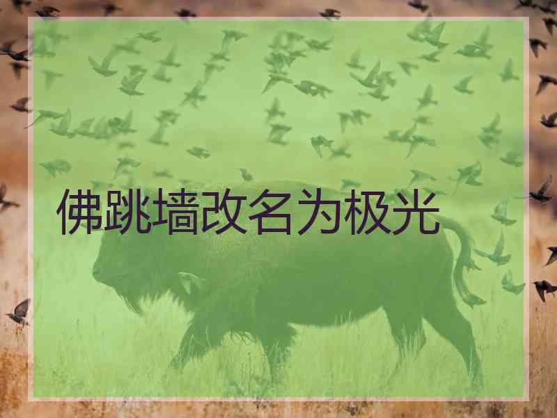 佛跳墙改名为极光