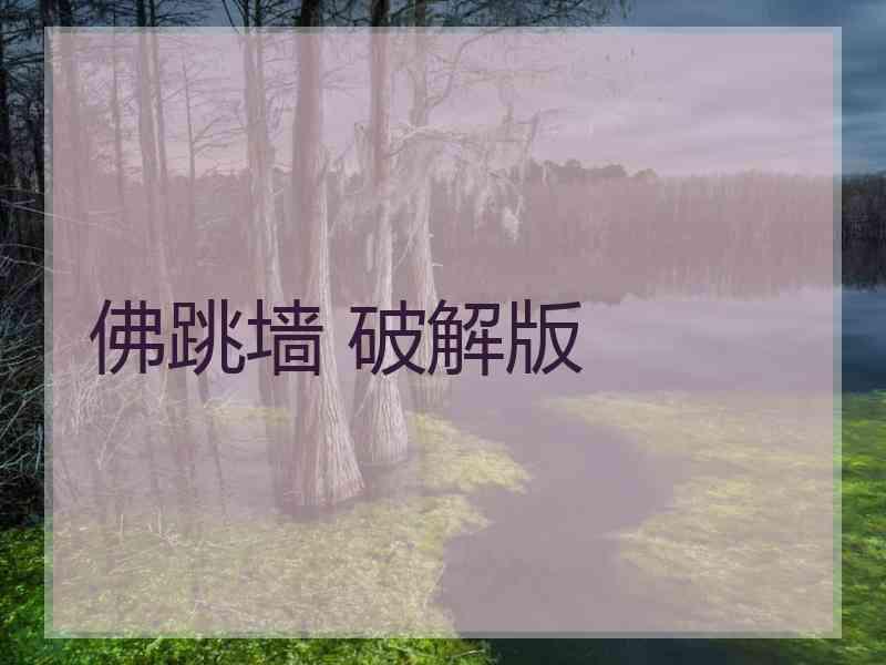 佛跳墙 破解版