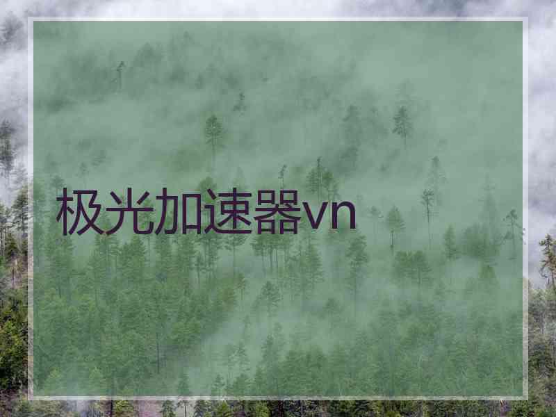 极光加速器vn