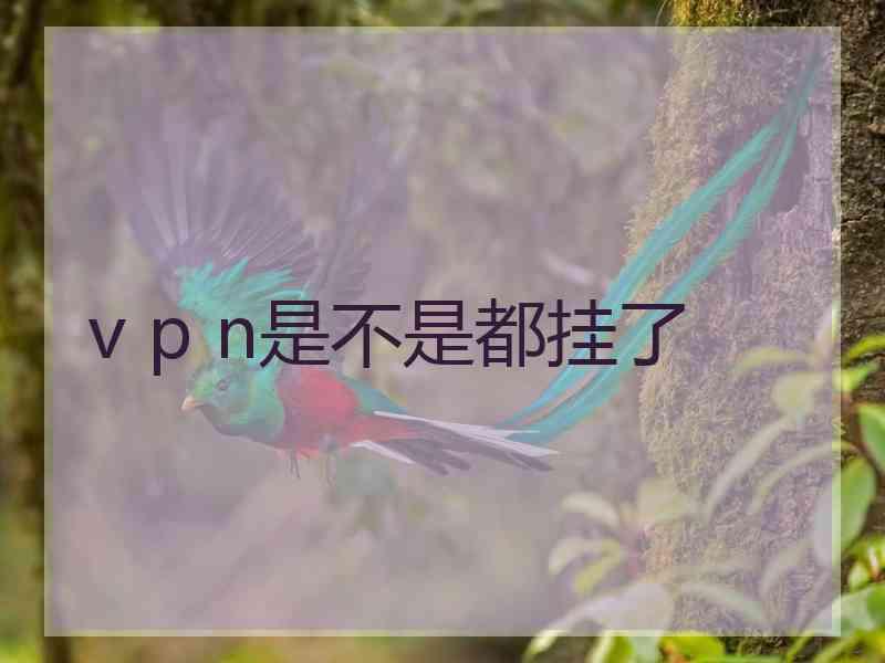 v p n是不是都挂了