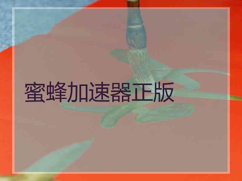蜜蜂加速器正版