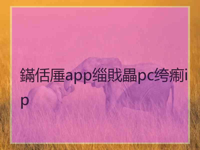 鏋佸厜app缁戝畾pc绔痸ip