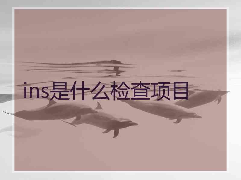 ins是什么检查项目