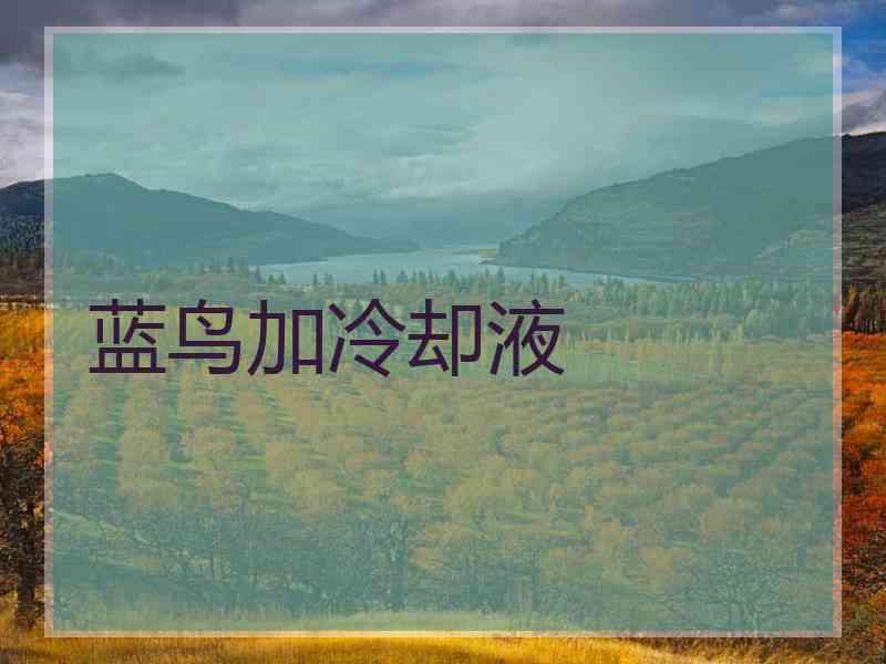 蓝鸟加冷却液