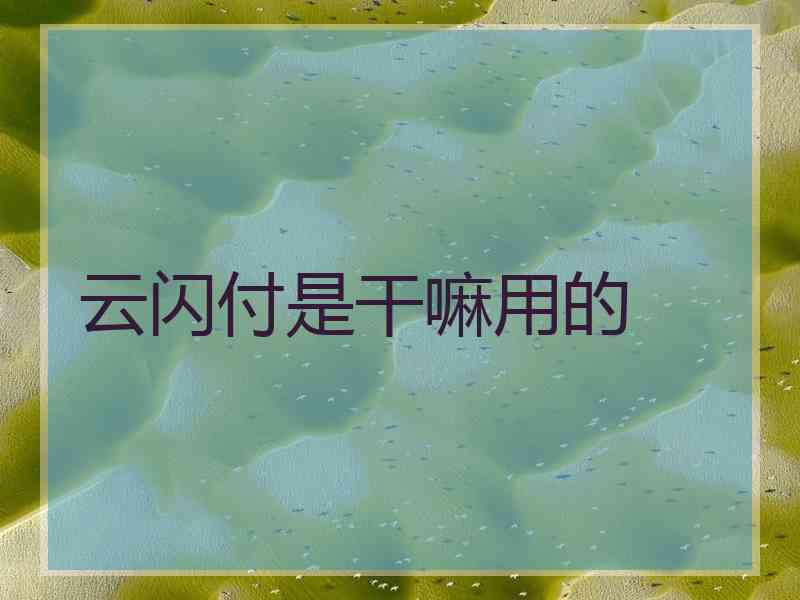 云闪付是干嘛用的
