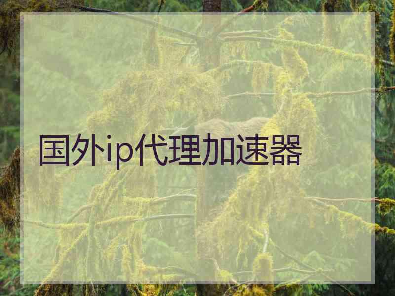 国外ip代理加速器
